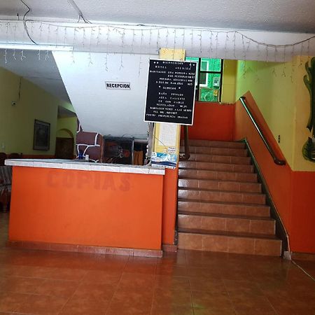 Hotel Avenida Tuxtla Gutiérrez Kültér fotó